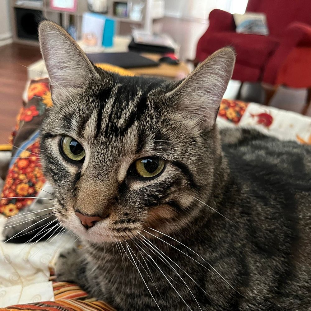 Meet your Posher, Kathy